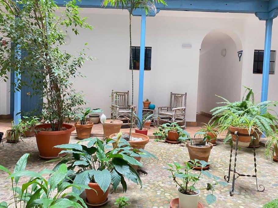 Hispalis Casa Pilatos Seville Exterior photo